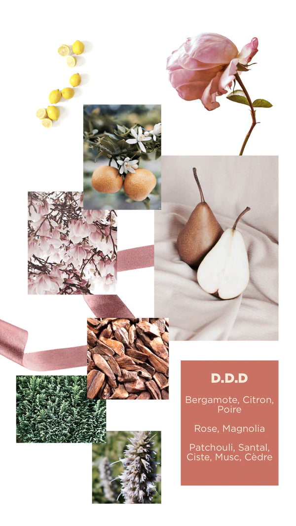 Nolenca - Eau de parfum "D.D.D." - Inspirations